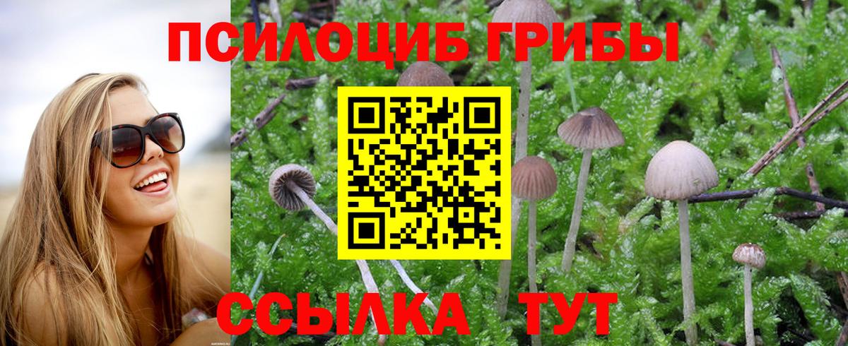 Псилоцибиновые грибы мухоморы Ростов Великий