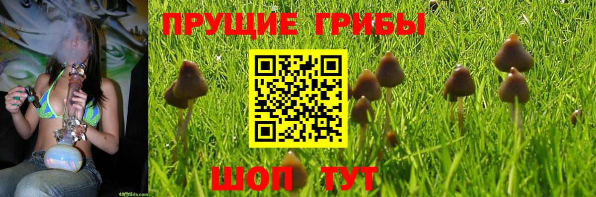 Псилоцибиновые грибы GOLDEN TEACHER  Вход с VPN  Ростов Великий 